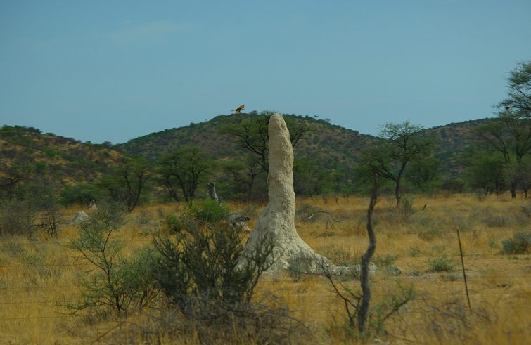 582 Namibia Okt 2006 .JPG